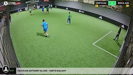 Faute de Anthony Alves - VERTS GALANT