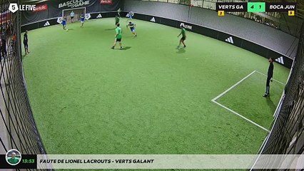 Faute de lionel lacrouts - VERTS GALANT