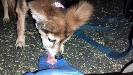 Ozzyta Villanova got in a tussle earlier; Villanova's carried a lot at home. Resting her arm good VID_20240601_212559321