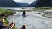 Encounter with bear