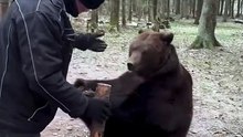 Risky Russian training a bear