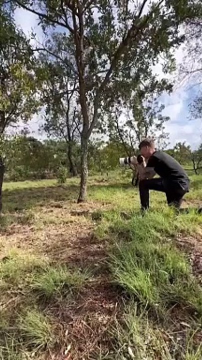 Photographer petting a cheetah