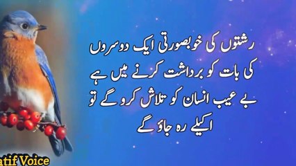 Lafzon ki dant nahi hoti lekin ye katlyti hai _Words have no teeth but they bite | Latif Voice |