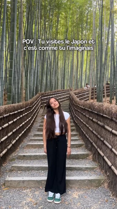 Qui rêve d’aller au Japon ? Aka le meilleur pays de cette terre 