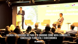 Agenda do Governo do Pará é o carbono como nova commodity, concessão florestal e bioeconomia