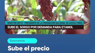 Sube el precio del sorgo por demanda para etanol