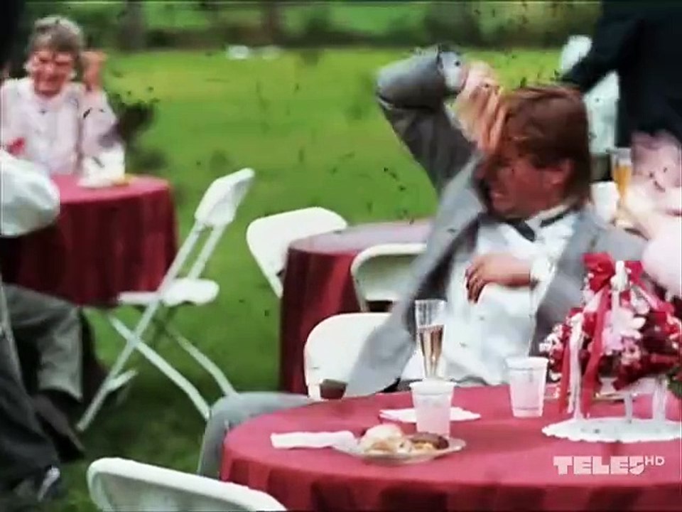 Angriff der Killerbienen (1995) stream deutsch anschauen