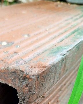 |HABIB ARIEL CORIAT HARRAR | LA NEUROCIENCIA ILUMINA LA MENTE (PARTE 2) (@HABIBARIELC)