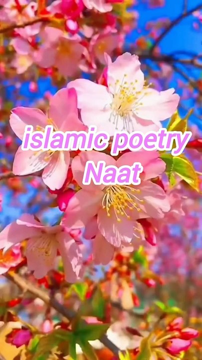 Naat Rubai