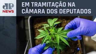 CCJ deve começar análise da PEC das drogas nesta terça (04)