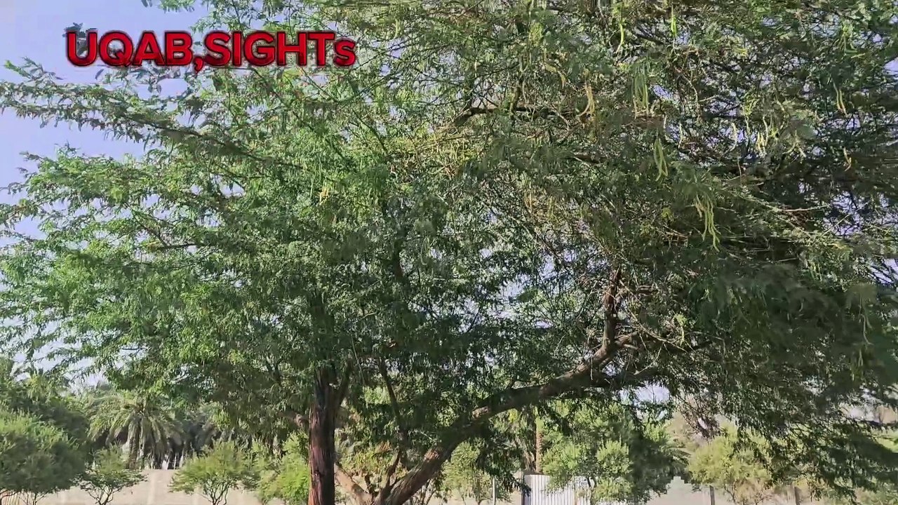View of Wadi Hanifah AL RIYADH KINGDOM OF SAUDI AREBIA