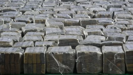 Informe de la DEA asegura que México podría desplazar a Colombia como principal productor de droga: estos son los detalles