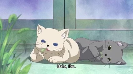 (Ep9)爷爷奶奶又恢复活力了 Ep 9 - Sub Indo (Дедушка и бабушка молодеют)(じいさんばあさん若返る)(할머니 할머니 젊은 회귀)