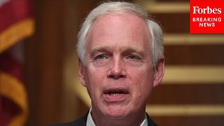 Ron Johnson Warns Of Growing Sophistication In Banking Scams: They're 'Praying On People’s Emotions’
