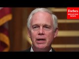 Ron Johnson Warns Of Growing Sophistication In Banking Scams: They're 'Praying On People’s Emotions’