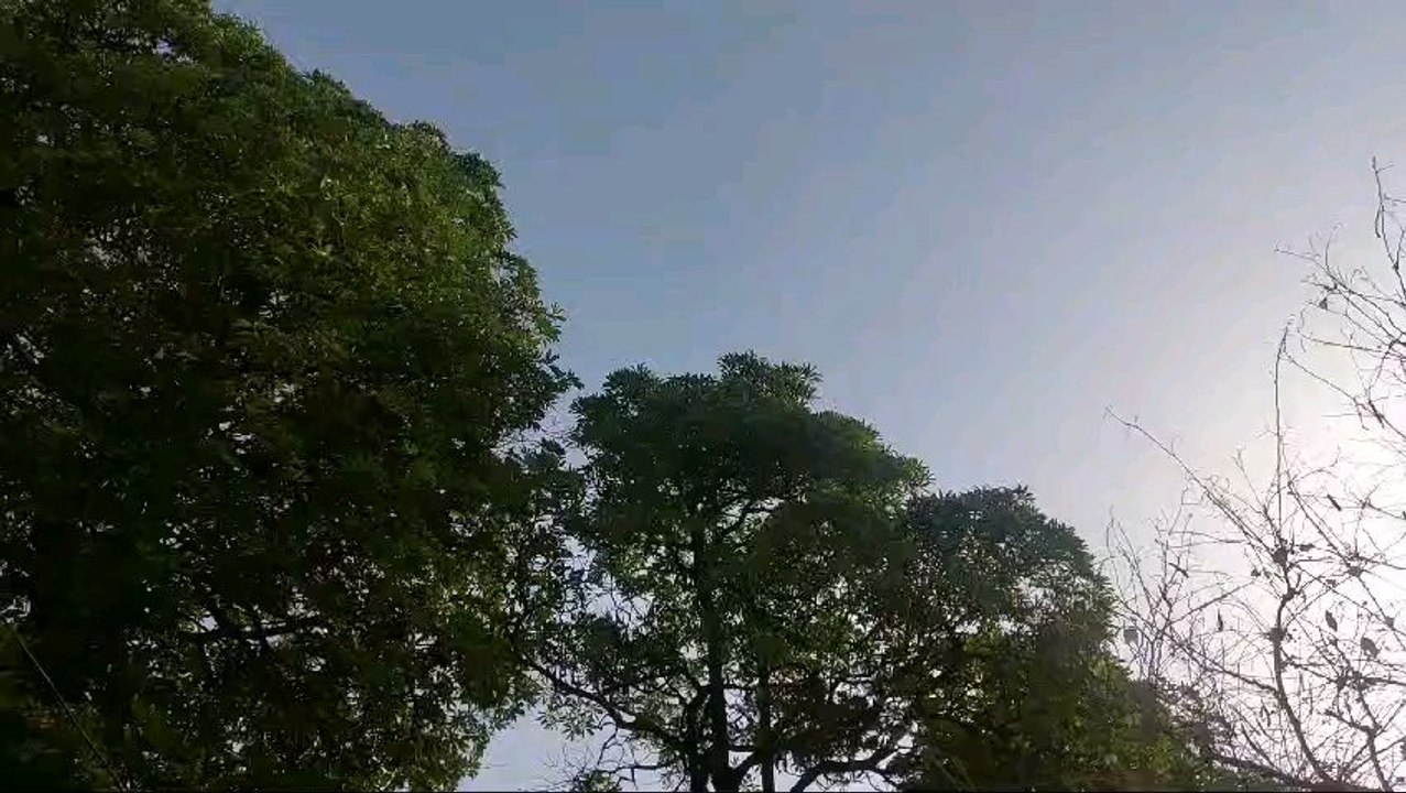 beautiful sunny morning