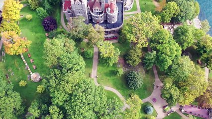 Music cattle for sleep or for relax to study or work _ Music relax Cattle