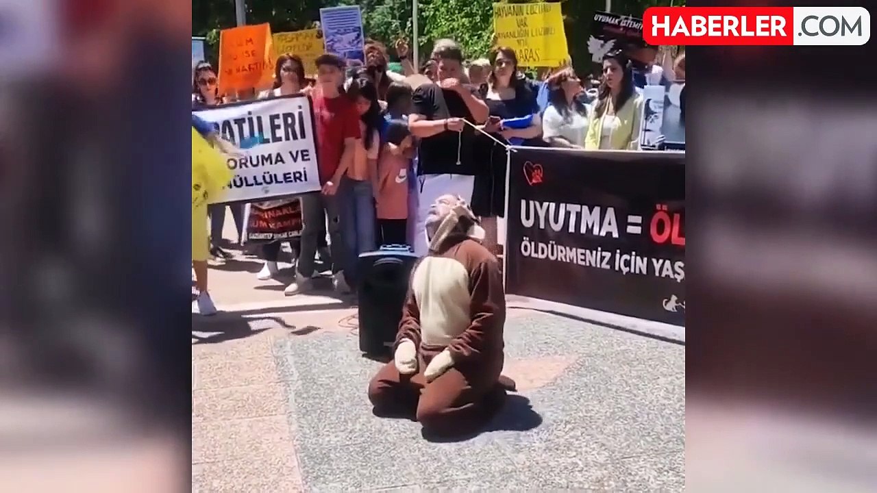 Kilis'te ilginç gösteri: Köpek kostümü giyen ad...