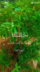 qurani ayat with urdu tranlation