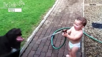 Babies Laughing at Pet AT Dodo