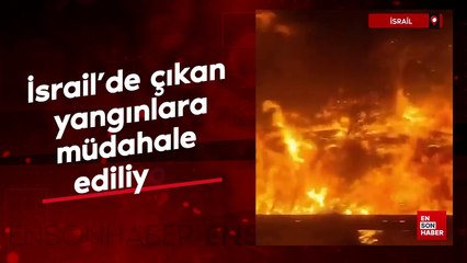İsrail'de çıkan yangınlara müdahale ediliyor