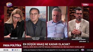 Deniz Zeyrek: Aklımızla alay etmeyin