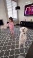 Dance Party Explosion! Toddler & Dog Bust Out Moves You Won't Believe