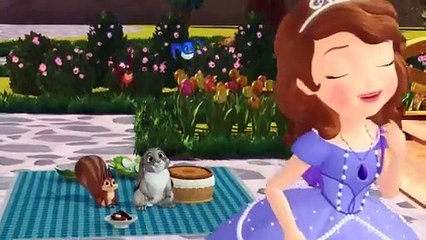 Sofia the First Once Upon a Princess -  Movie - P-12