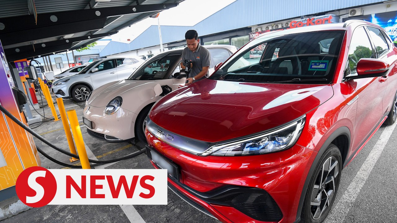 Govt to introduce special licence plate frames for zeroemission