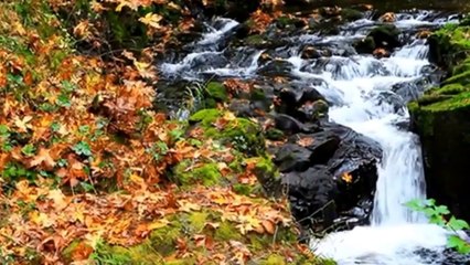 VALDO CILLI TITRE JE SUIS COMME CA