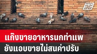 แก๊งขายอาหารนกท่าแพ ยังแอบขายไม่สนค่าปรับ | จับข่าวคุย | 3 มิ.ย. 67