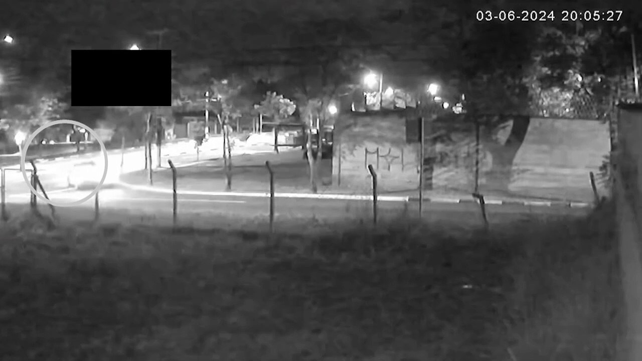 Catador de latinhas é atropelado e motorista fo...