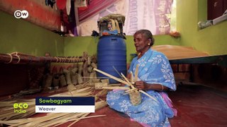 Sustainable mangrove restoration helps locals in Tamil Nadu