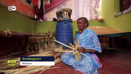 Sustainable mangrove restoration in southern India