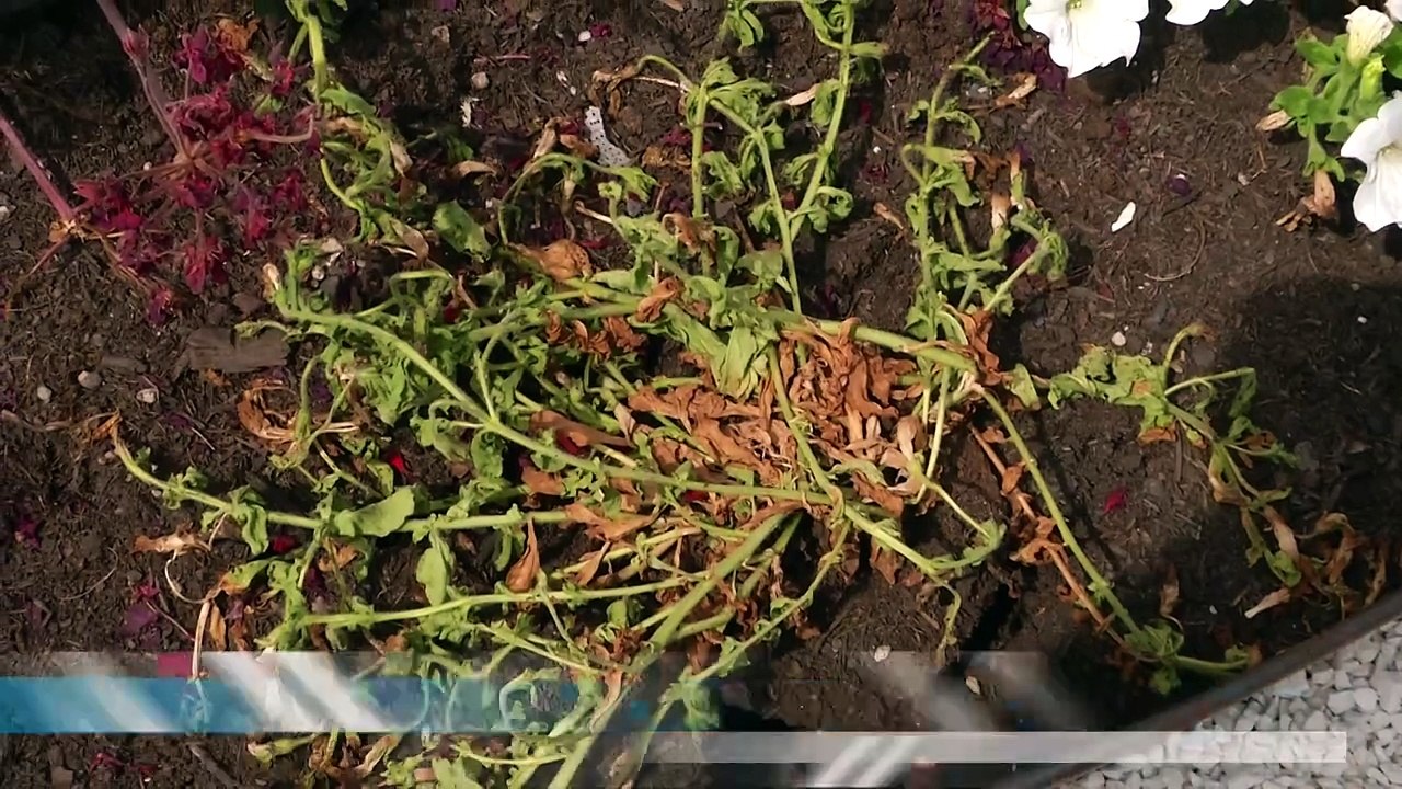 Parco Aldo Moro, si corre ai ripari