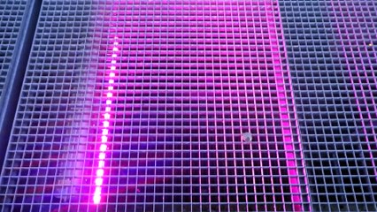 Velperwaarden at Dawn: Stunning New Camera Test on IJssel Flood Banks 🌅