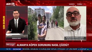 Almanya Gazze soykırımına nasıl bakıyor?