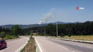 Bursa’da orman yangını...Uçaklar ve helikopterler sevk edildi