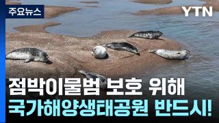 점박이물범 보호 위해 국가해양생태공원 반드시! / YTN