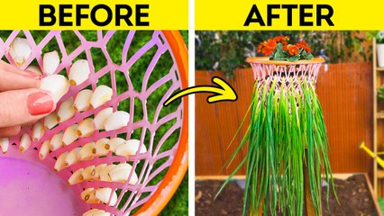How To Grow Your Own Fresh Food at Home  Genius Gardening Hacks!