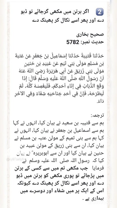 Sahih Bukhari # 5782