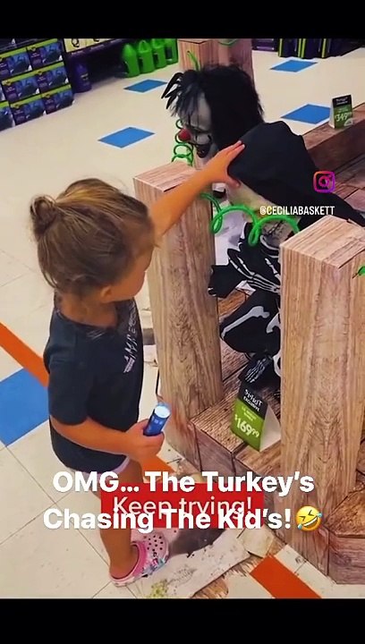 Funny videos