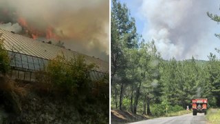 Bursa ve Antalya'da orman yangını!