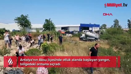 Antalya'da orman yangını! Ekipler sevk edildi