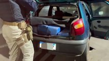 Condutor tenta fugir, porém é preso com 200 quilos de maconha em Alto Paraíso