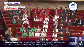 Rachel Kéké brandit un drapeau palestinien à l'Assemblée, la séance des questions au gouvernement suspendue