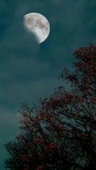 apni zuban  par qabo rakhay.