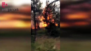 Bursa'da orman yangınına 6 helikopter, 4 uçakla müdahale