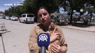 Sahipsiz köpekler mahalleliyi canından bezdirdi: 