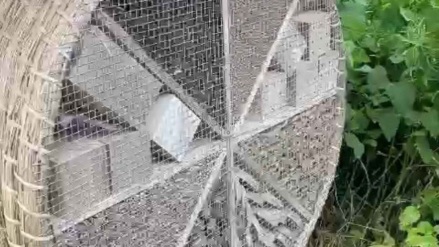 Para preservar la biodiversidad de la explotación, Emeric tiene un hotel de abejas en su finca.
